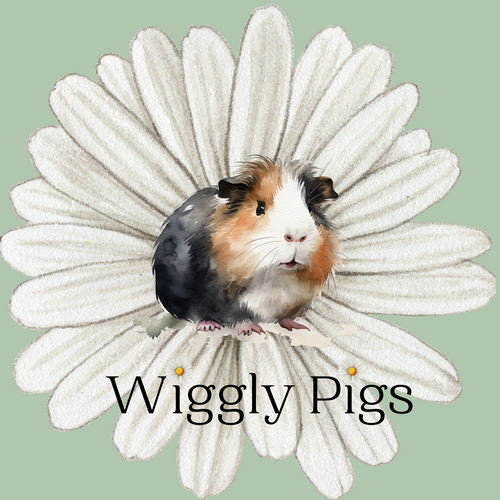 Wiggly Pigs